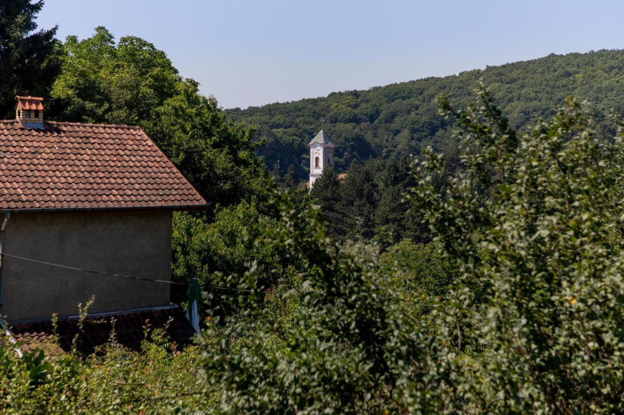 Villa Mi Casa 2 Vrdnik Exterior foto